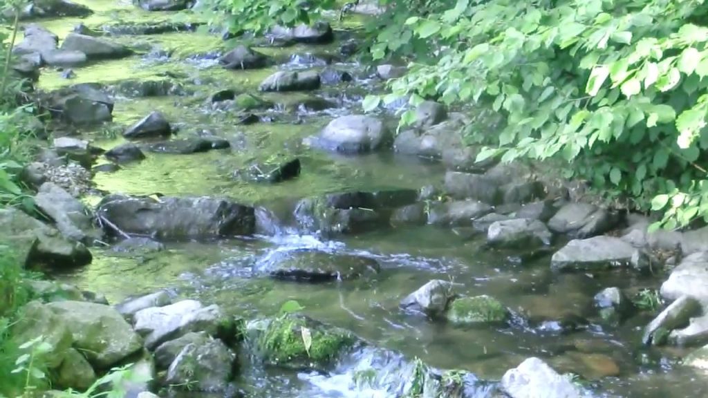 Eine Videoszene zur Haiku-Meditation "Bäche" auf dem Haiku-Kanal