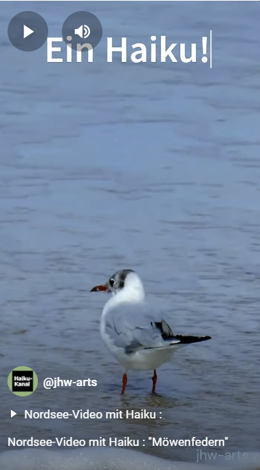 Anklickbares Vorschaubild zum Nordsee-Video mit Haiku "Möwenfedern"
