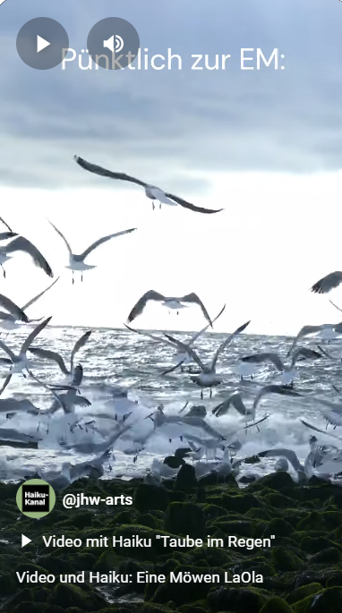 Anklickbares Vorschaubild zum Nordsee-Video mit Haiku "Eine Möwen-Laola"