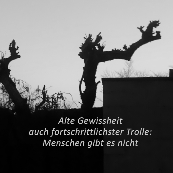 Haiga von Jennifer H. Weber: Bäume in der Dämmerung, die aussehen, als ob Trolle darauf siitzen.